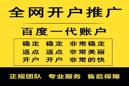 SEM代理助力品牌：案例解析，优化策略全揭秘