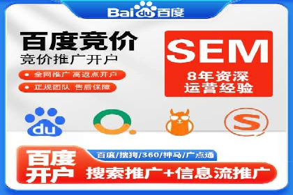 解析某某SEM服务公司的广告投放策略与效果评估